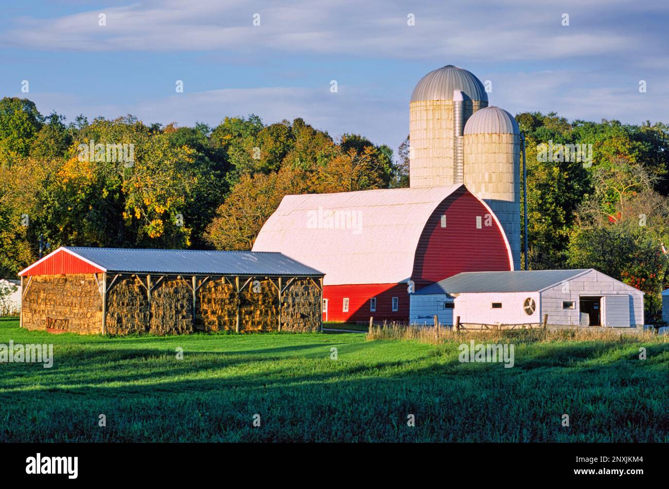 Familienfarm, Minnesoa Stockfoto