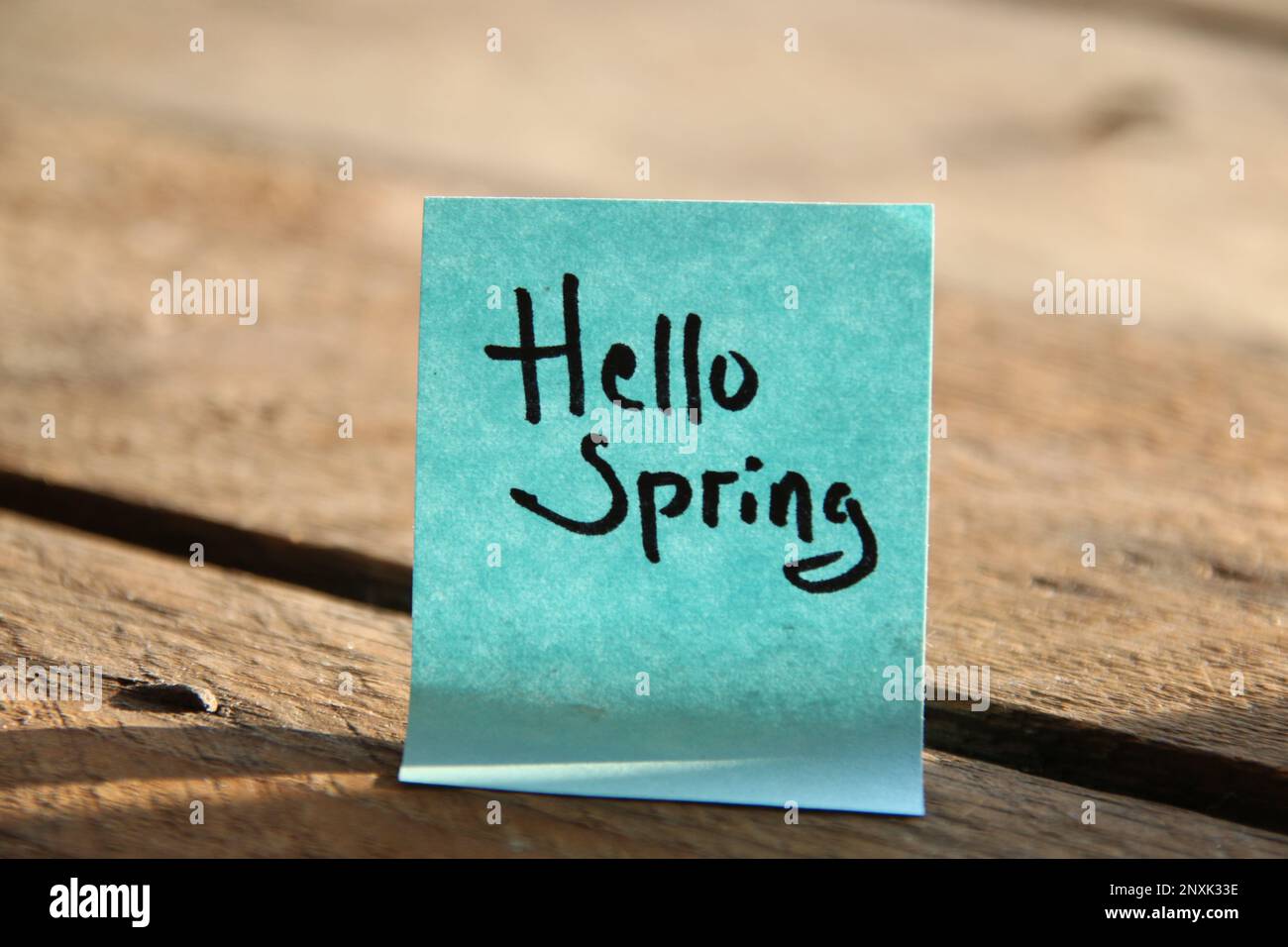 Hallo Frühlingskonzept! Die Inschrift auf dem blauen Schild. Stockfoto