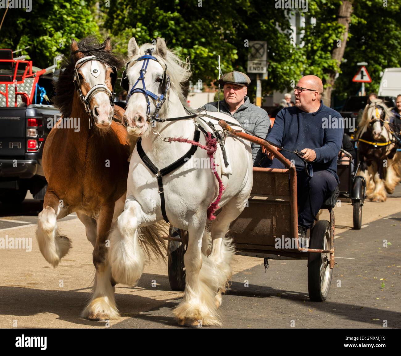 Zwei wunderschöne Pferdekutschen, die einen Trabrennwagen ziehen, die am Sands entlang Rennen, zwei Männer im Wagen Appleby Horse Fair Appleby in Westmorland Eden Valley Cumbria Stockfoto