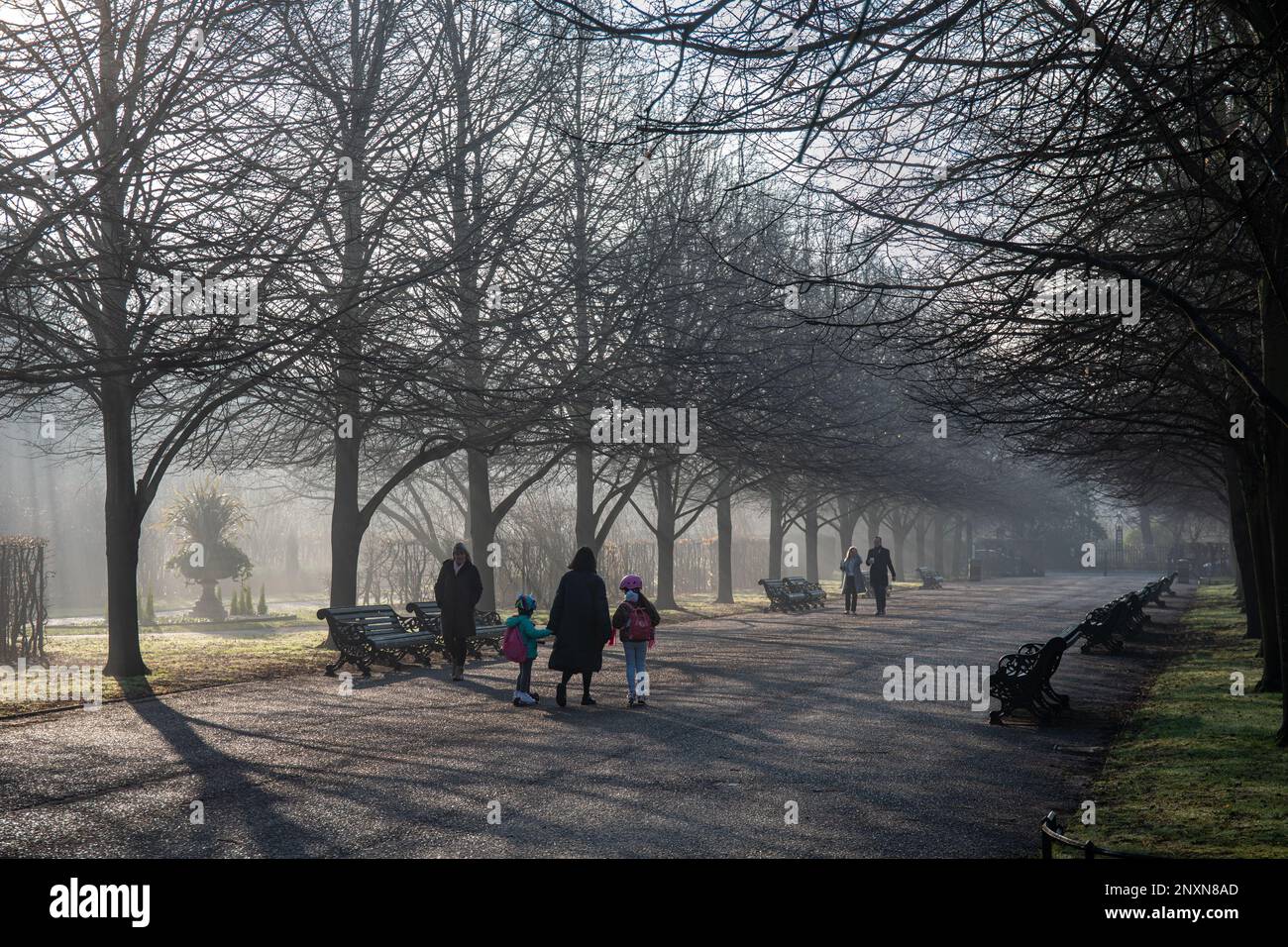 Menschen, die an einem nebligen Wintermorgen in London, England, auf dem breiten Spaziergang des Regent's Park spazieren Stockfoto