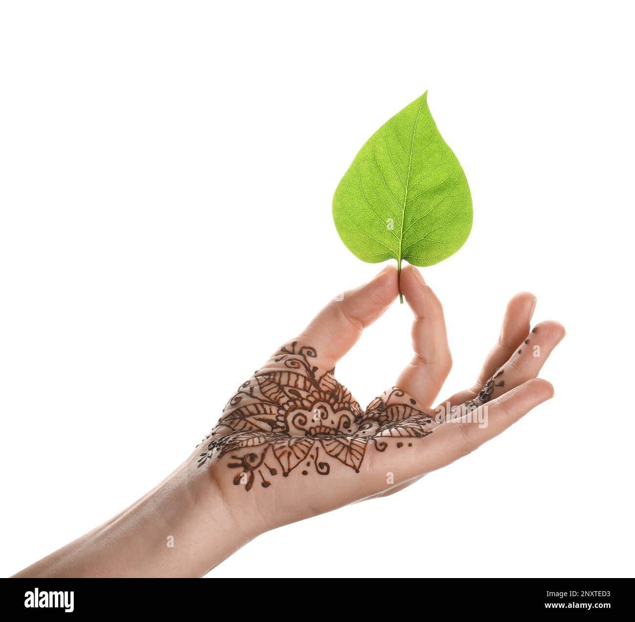 Eine Frau mit Henna-Tattoo, die grünes Blatt auf weißem Hintergrund hält, Nahaufnahme. Traditionelles Mehndi-Ornment Stockfoto