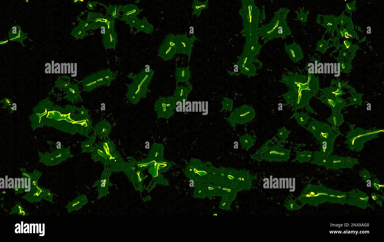 Abstrakte bewegliche Mikroorganismen oder Bakterien auf schwarzem Hintergrund. Design. Konzept von Chemie und Biologie Stockfoto