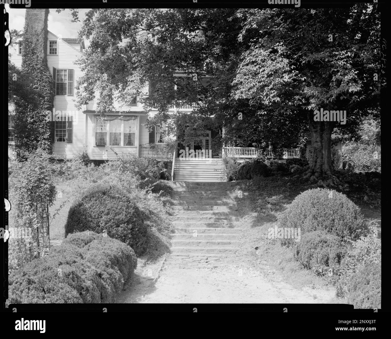 Green River Plantation, Polk County, North Carolina. Carnegie Survey of the Architecture of the South (Carnegie-Umfrage zur Architektur des Südens). Usa, North Carolina, Polk County, Plantagen, Sträucher. Stockfoto