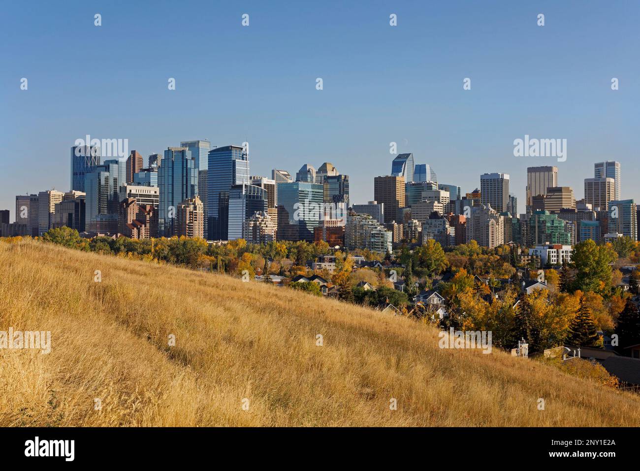 Stadtzentrum von Calgary und Skyline mit blauem Himmel im Herbst, Alberta, Kanada Stockfoto