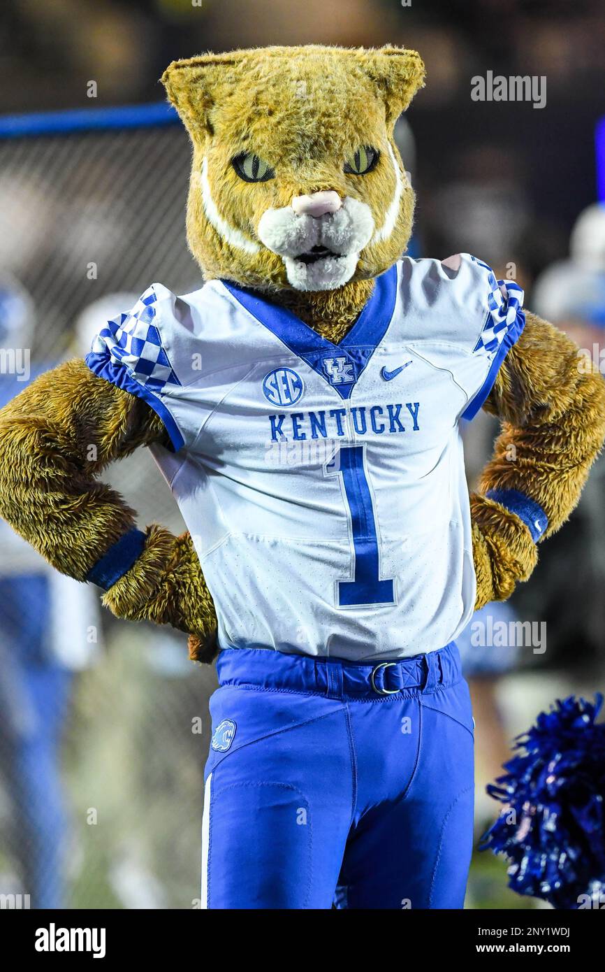 November 11, 2017: Wildcat the Kentucky mascot during the game between the Kentucky Wildcats and the Vanderbilt Commodores at Vanderbilt Stadium in Nashville. TN. Thomas McEwen/CSM (Cal Sport Media via AP Images) Stockfoto