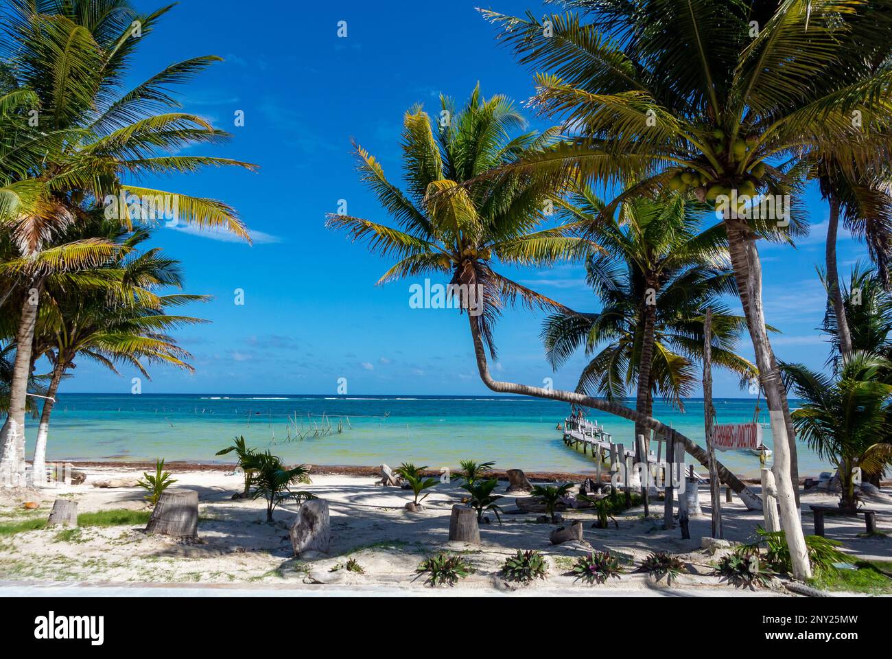 Mahahual, Quintana Roo, Mexiko, Eine Meereslandschaft der costa maya in Mahahual Stockfoto