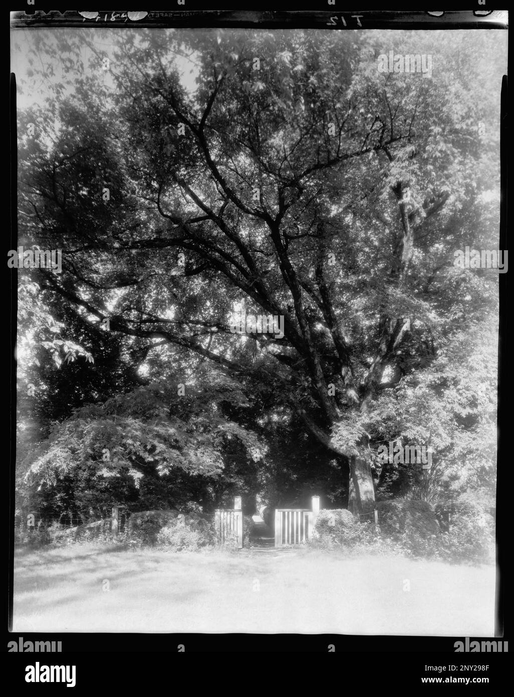 Tuckahoe, Goochland County, Virginia. Carnegie Survey of the