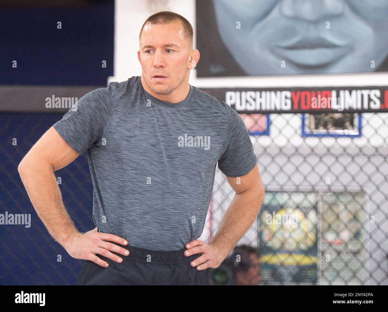 Georges St-Pierre, three-time former UFC welterweight champion, pauses during a workout Wednesday, Oct. 25, 2017 in Montreal. St-Pierre will face Michael Bisping of a UFC middleweight title mixed martial arts bout in UFC 217 on Saturday, Nov. 4, 2017 in New York. (Ryan Remiorz/The Canadian Press via AP) Stockfoto
