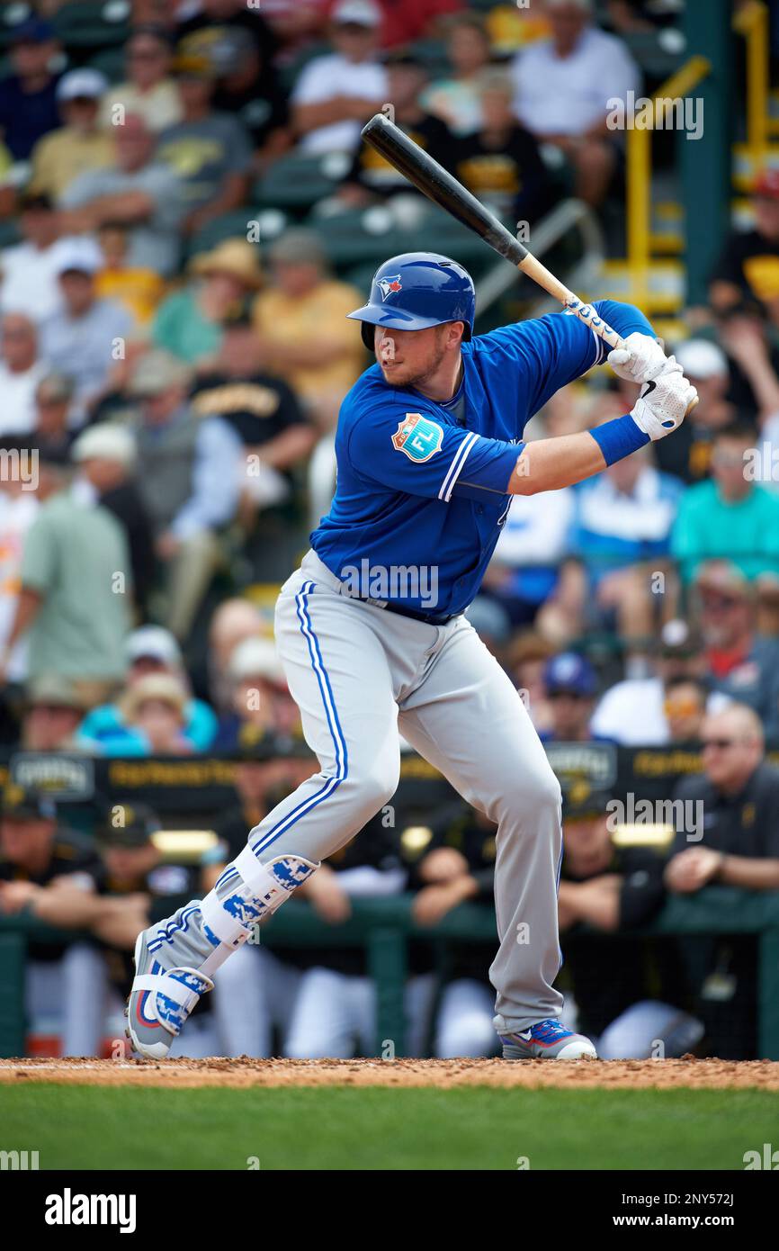 Toronto Blue Jays designated hitter Justin Smoak (14) at bat during a