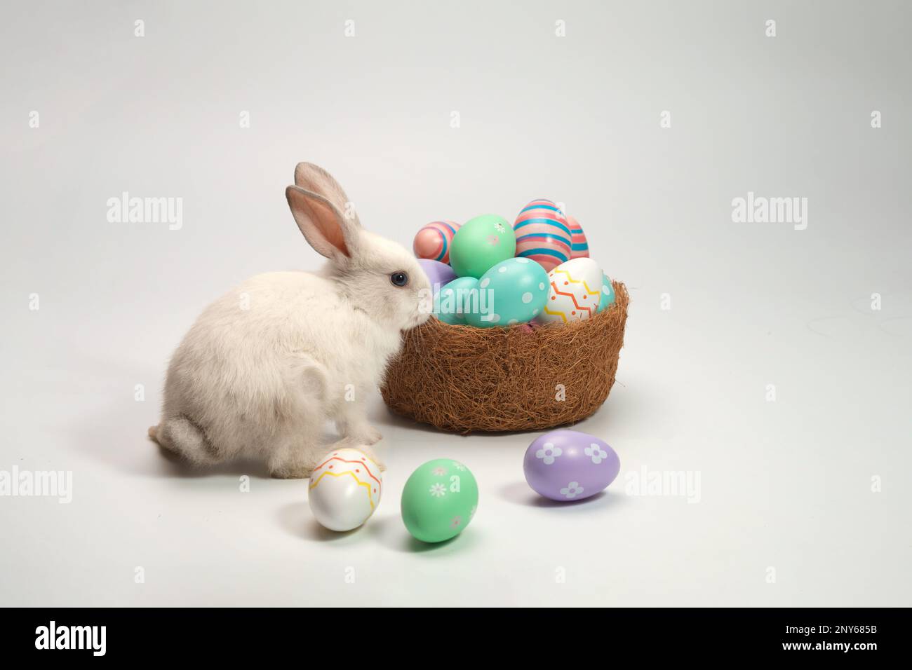 Weißes Kaninchen steht neben einem Korb mit dekorierten Eiern. Osterferienkonzept. Stockfoto