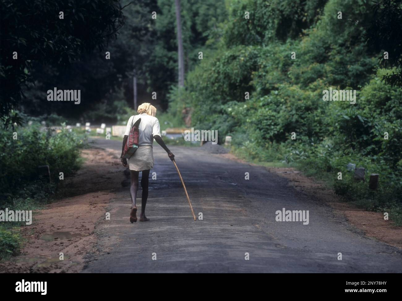 Ein alter Mann, der mit einem Stock auf der Straße läuft, Tamil Nadu, Indien Stockfoto