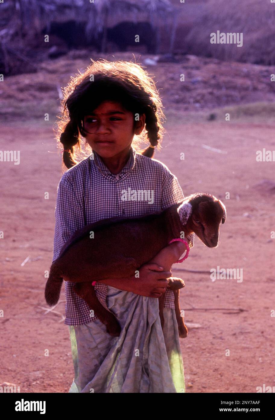 Ein Mädchen mit ihrer Ziege in Kokrebellur bei Mysuru Mysore, Karnataka, Südindien, Indien, Asien Stockfoto
