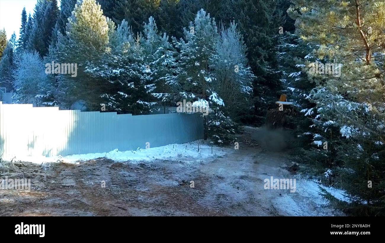 Im Winter schneebedeckter weißer Boden aus Kiefernwäldern. Clip. Landstraße und Zaun mit einem funktionierenden Traktor und viel fliegendem Staub Stockfoto
