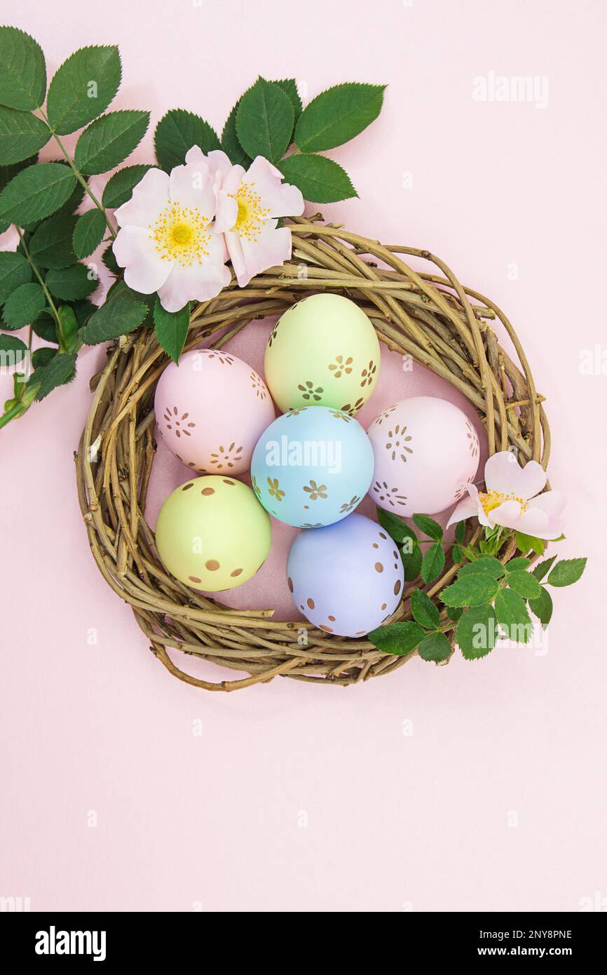 Gefärbte Eier im Nest von Zweigen mit Kirsch- oder Aprikosenzweig. Ostern. Vertikal, horizontal. Speicherplatz kopieren Stockfoto