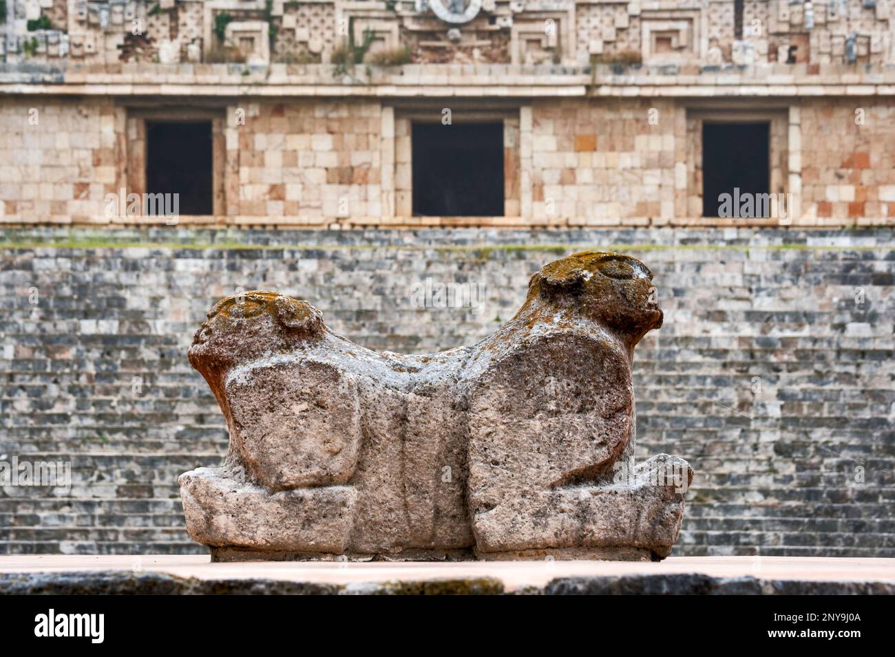 Jaguar-Thron, Skulptur Maya bei Ausgrabungsstätte Uxmal, Halbinsel Yucatan, Mexiko Stockfoto