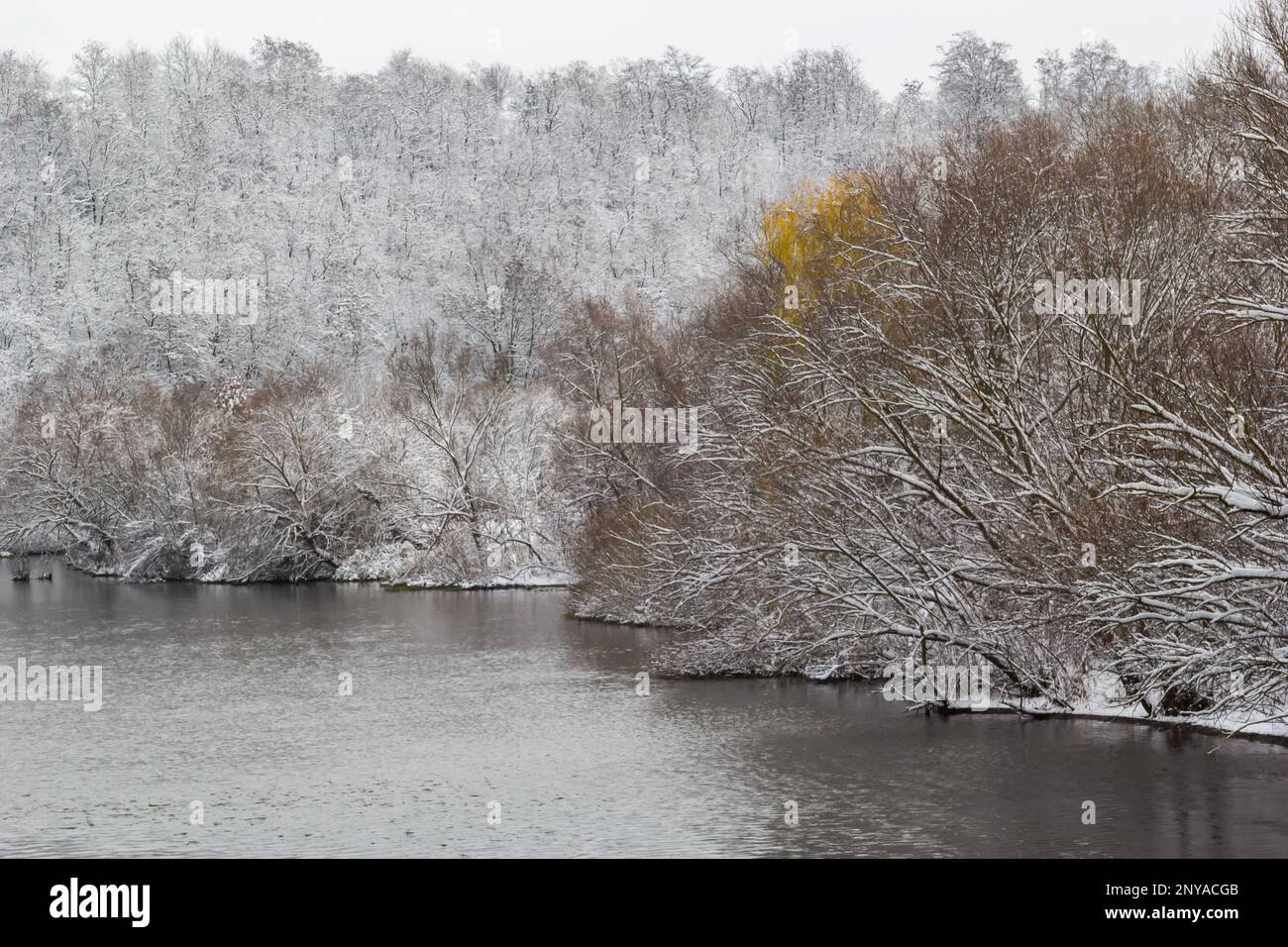 Winterfluss, Bäume im Schnee, Blick auf den schneebedeckten Wald. Stockfoto