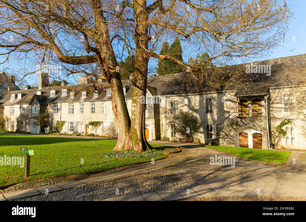 Historische mittelalterliche Gebäude im Innenhof der Great Hall, Dartington Hall Anwesen, South Devon, England, Großbritannien Stockfoto