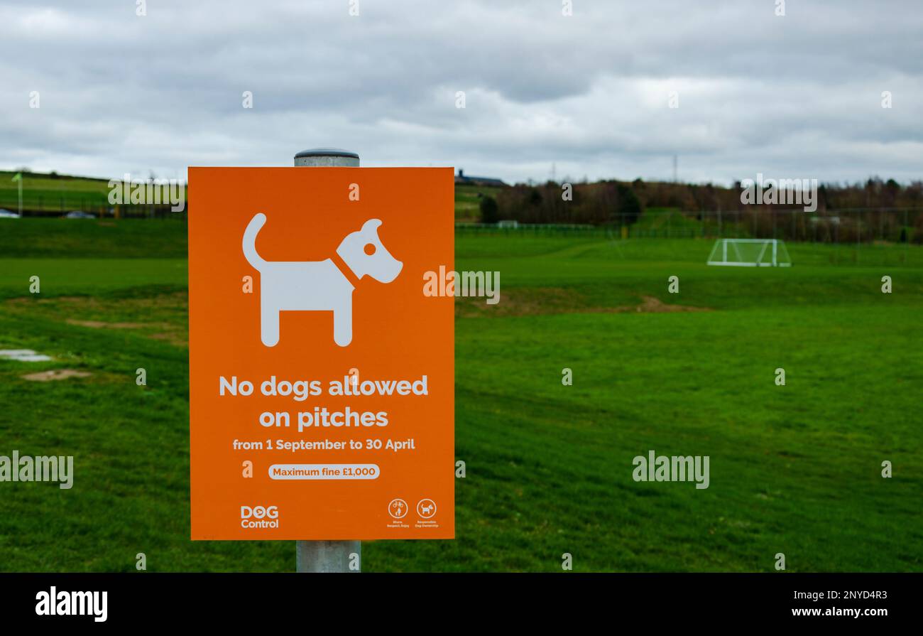 Orangefarbenes Warnschild, dass Hunde nicht auf Sportplätzen zugelassen sind Stockfoto