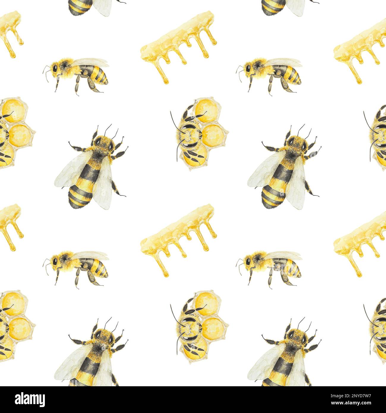 Aquarell handgezeichnetes Muster von Bienen und Honig, isoliert auf weißem Hintergrund Stockfoto