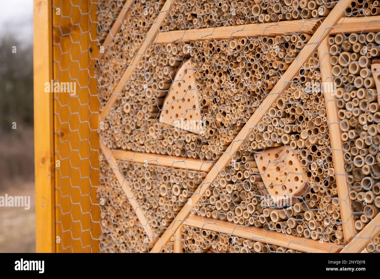 Nahaufnahme eines Bienenhotels, Umweltschutz, Rettung von Insekten aus gelbem Holz Stockfoto