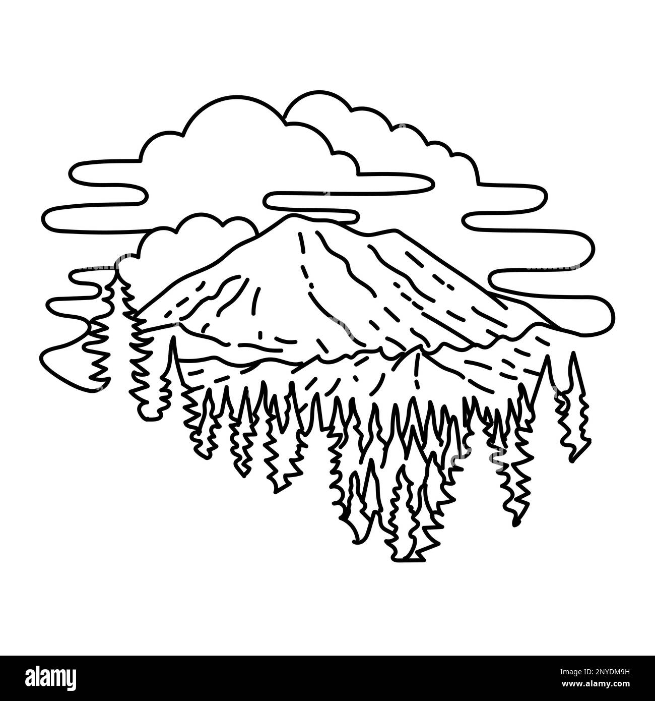 Mono-Linien-Darstellung des Mount Rainier National Park im US-Bundesstaat Washington, in schwarz-weißen Monolinlinien im Kunststil. Stockfoto