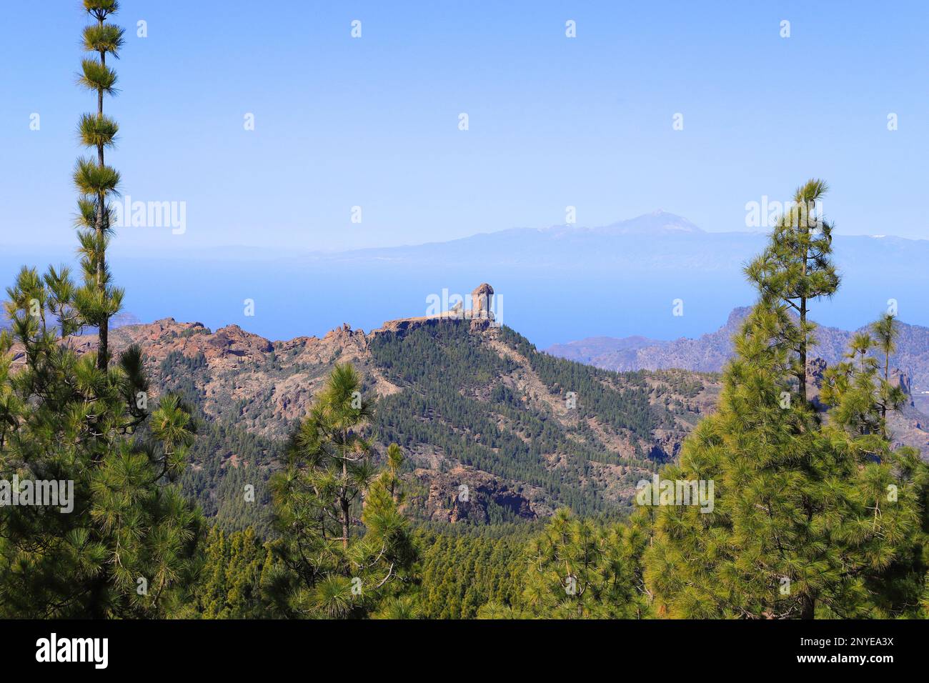 Blick auf den Berg 'Roque Nublo' vom Berg 'Pico Las Nieves' Gran Canaria - Spanien Stockfoto