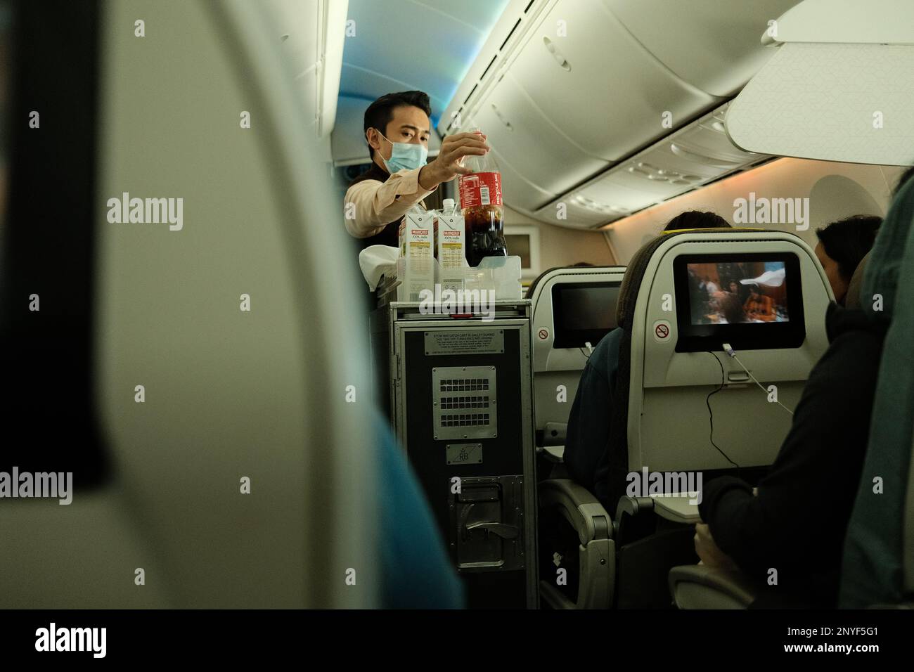 Flugbegleiter, der in einem gewerblichen Flugzeug Flugdienste erbringt Stockfoto