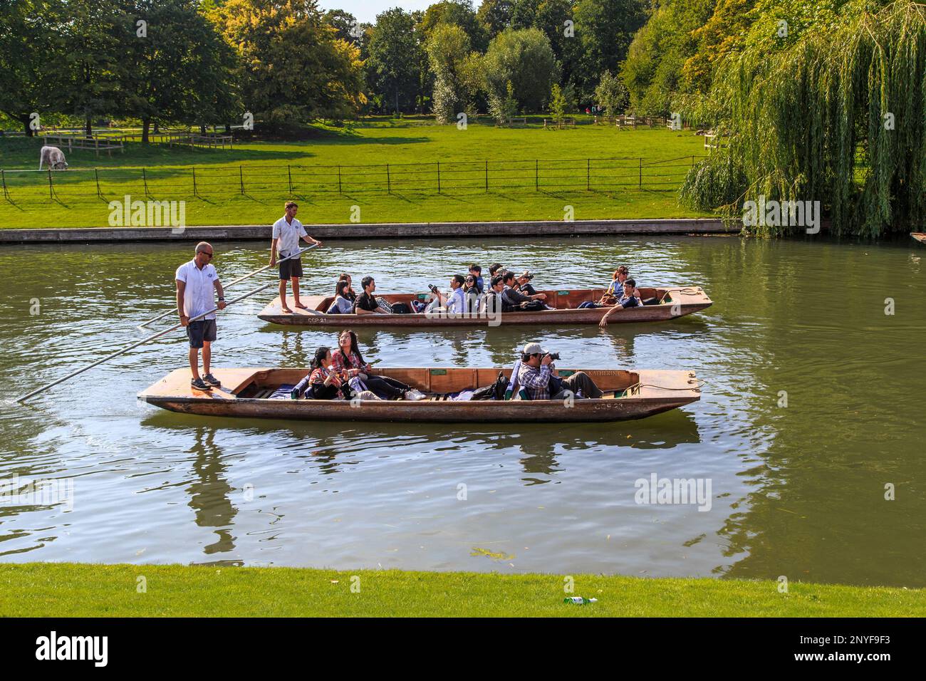 CAMBRIDGE, GROSSBRITANNIEN - 8. SEPTEMBER 2014: Dies ist eine Fahrt auf langen, flachen Booten, die von einem Stab gesteuert werden. Stockfoto