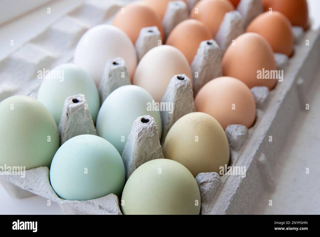 Viele verschiedene Farben Hühnereier, die nach Farbe auf einer Eischachtel aus Papier angeordnet sind. Alle möglichen Farben: Blau, grün, weiß, beige, braun. Stockfoto