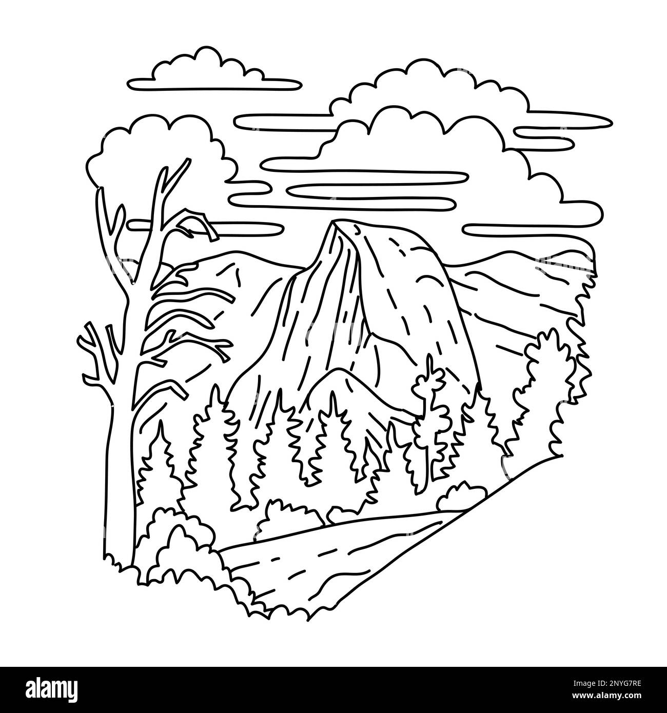 Mono-Linien-Darstellung des Sentinel Dome im Yosemite-Nationalpark und südlich des Yosemite-Tals in schwarz-weißen Monolinlinien im Kunststil. Stockfoto