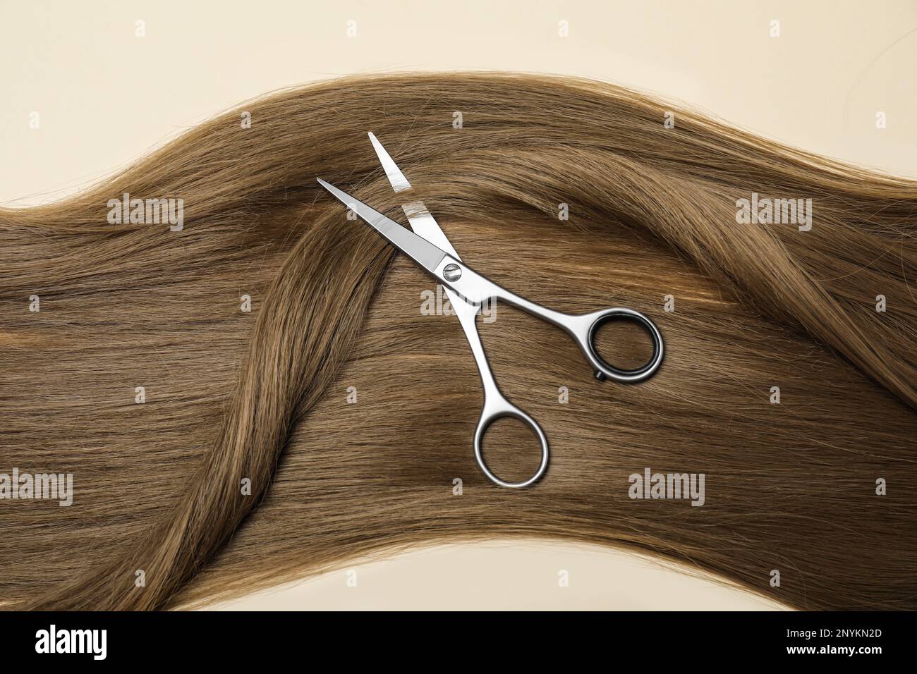 Professionelle Friseurschere mit dunkelblondem Haar auf beigefarbenem Hintergrund, Draufsicht. Haarschnitt-Werkzeug Stockfoto