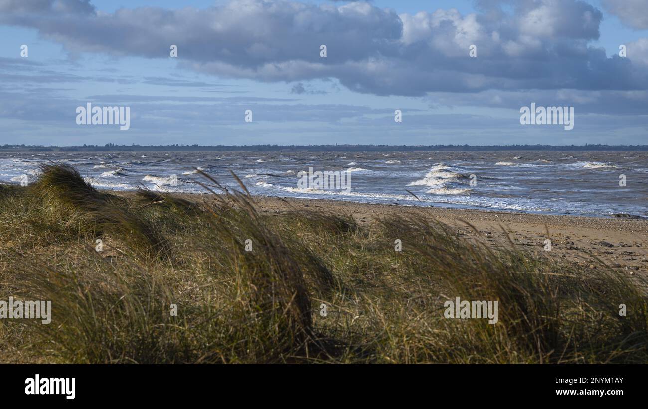 Seascape mit Maramgras in Walton auf der Naze in Essex. Windig, kalt, Wintertag. Stockfoto