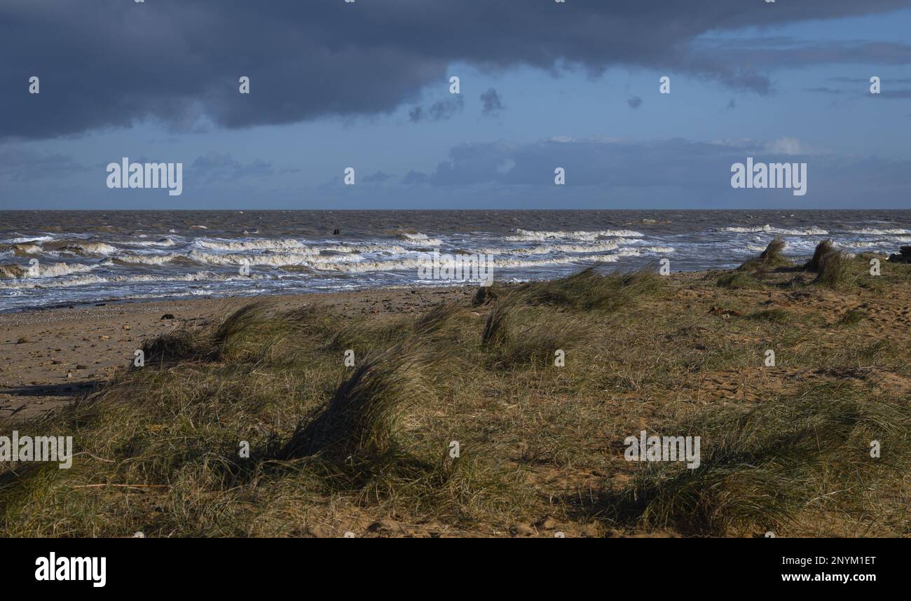 Seascape mit Maramgras in Walton auf der Naze in Essex. Windig, kalt, Wintertag. Stockfoto