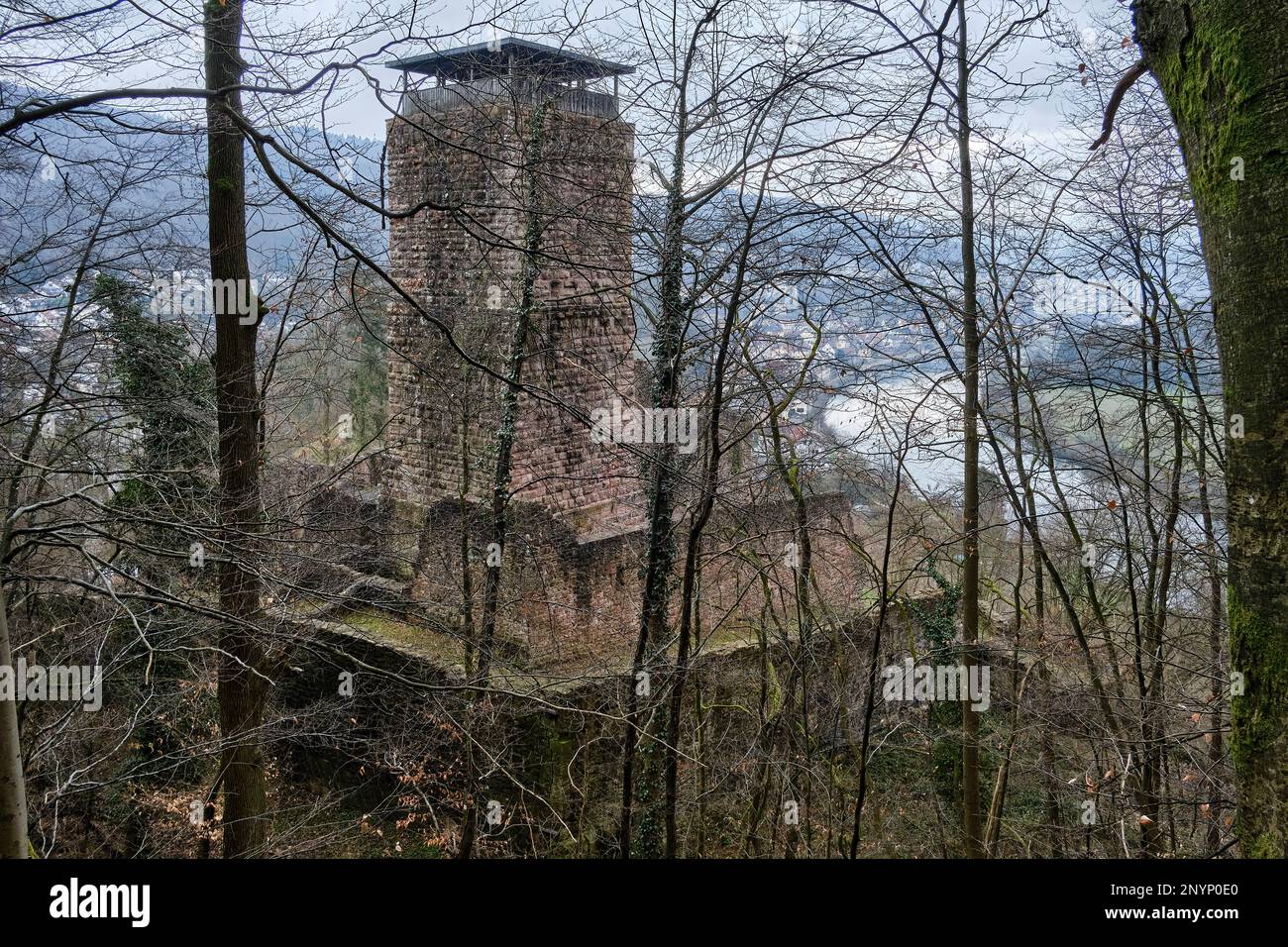 Ruinen von Hinterburg, auch Alt-Schadeck Schloss, in der Stadt Neckarsteinach, Stadt der vier Schlösser, Hessen, Deutschland, Europa. Stockfoto