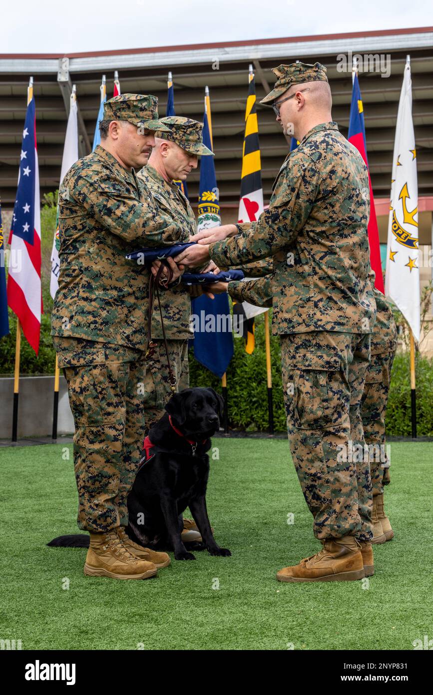 USA Marinekorps Major Robert O'Berg, Left, und Gunnery Sgt. Timothy Cunningham, beide Genesungsmitglieder mit dem Wunded Warrior Battalion West, erhalten die US-Flagge während eines zweifachen Ruhestands in der Wounded Warrior Bn. Am 30. Januar 2023 im Marinekorps-Basislager Pendleton, Kalifornien. O'Berg und Cunningham sind nach fast 40 Jahren kombinierten Dienstes aus dem Marine Corps zurückgetreten. O'Berg stammt aus Brooklyn, New York. Cunningham stammt aus Albany, New York. Stockfoto