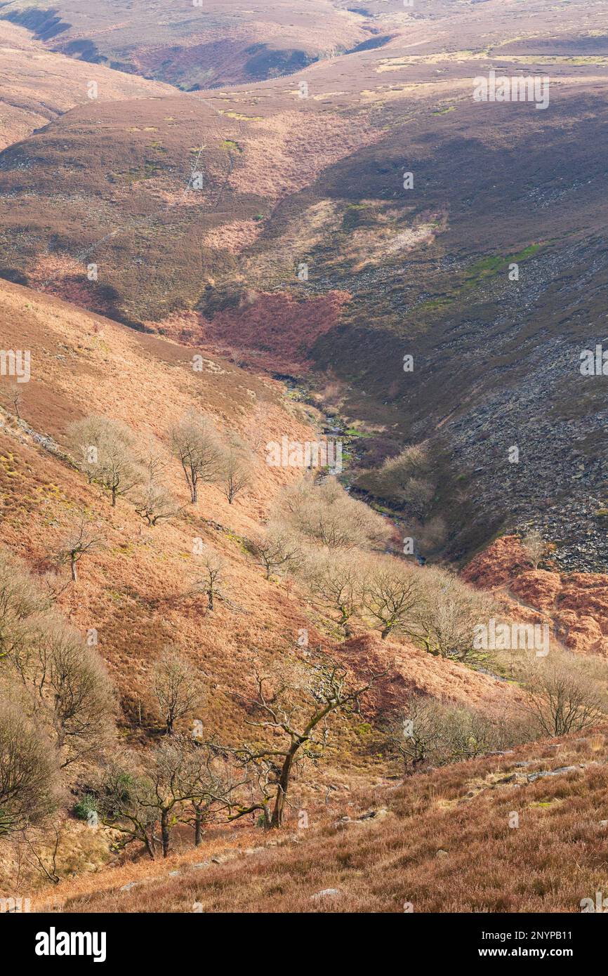 Landschaftsporträts mit Blick auf das offene Moorland rund um Carrbrook Stalybridge UK Stockfoto