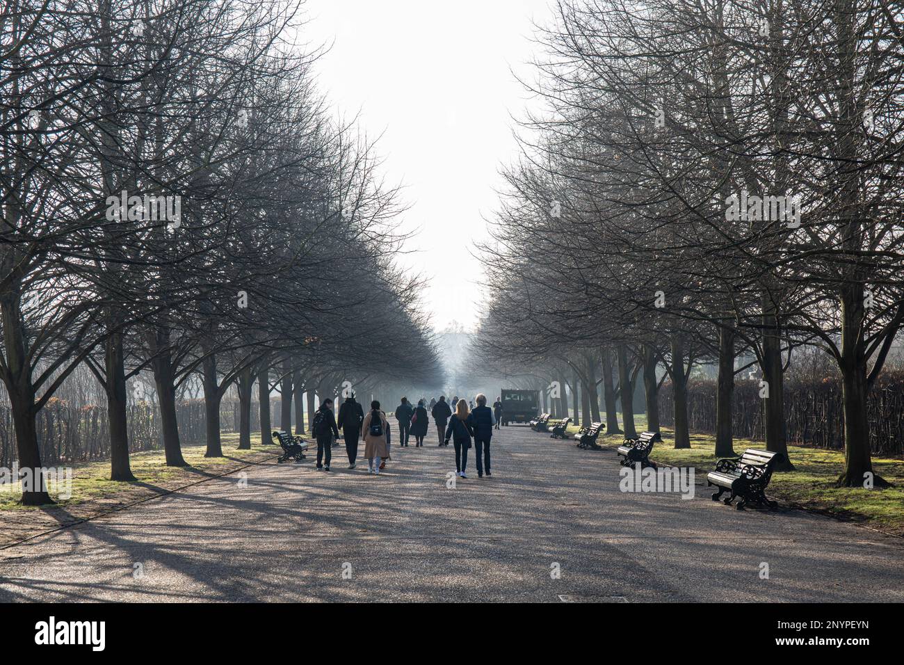 An einem nebligen Wintertag in London, England, spazieren die Leute auf dem breiten Spaziergang des Regents Park Stockfoto