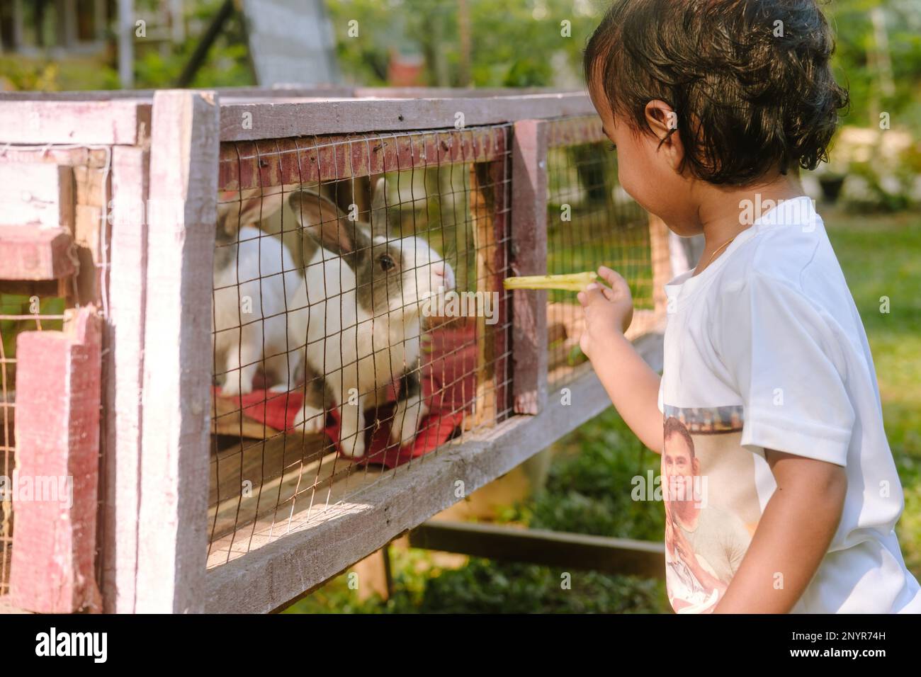 Ein Kind füttert ein Kaninchen in einem Zoo, Guwahati, Indien Stockfoto