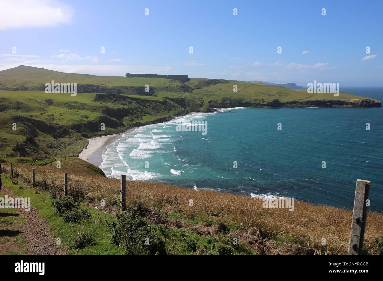 Halbinsel Otago in Dunedin, Neuseeland Stockfoto