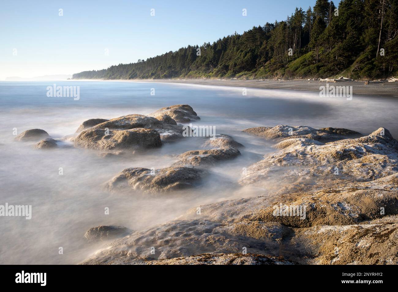 WA20983-00....WASHINGTON - Rocky Coast am 4. Beach, Olympic National Park. Stockfoto