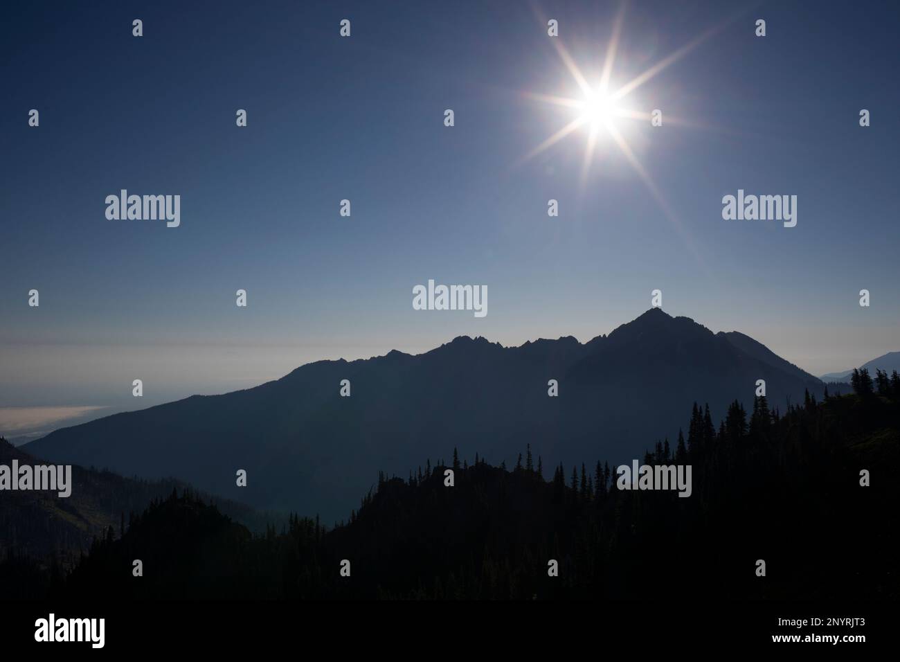 WA20997-00....WASHINGTON - Olympic Mountains vom Hurricane Hill im Olympic National Park. Mount Angeles ist der Höhepunkt des zweiten Hügels. Stockfoto