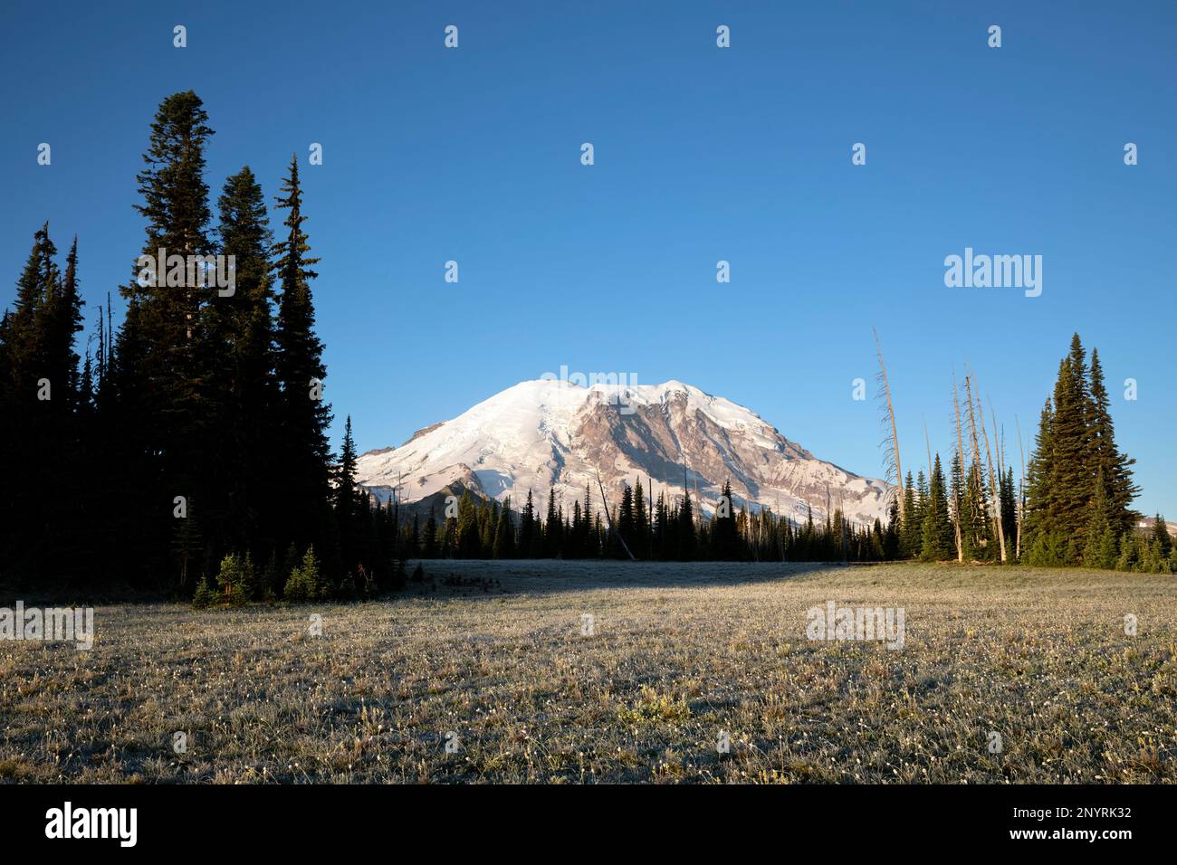 WA24000-00....WASHINGTON - Mount Rainier vom Grand Park, Mount Rainier National Park. Stockfoto