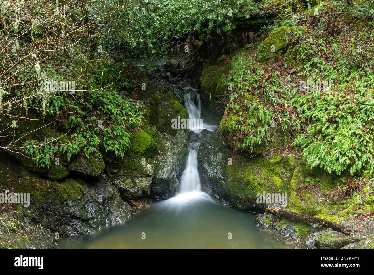 Kaskaden-Wasserfälle an den Cataract Falls. Mount Tamalpais State Park, Marin County, Kalifornien, USA. Stockfoto