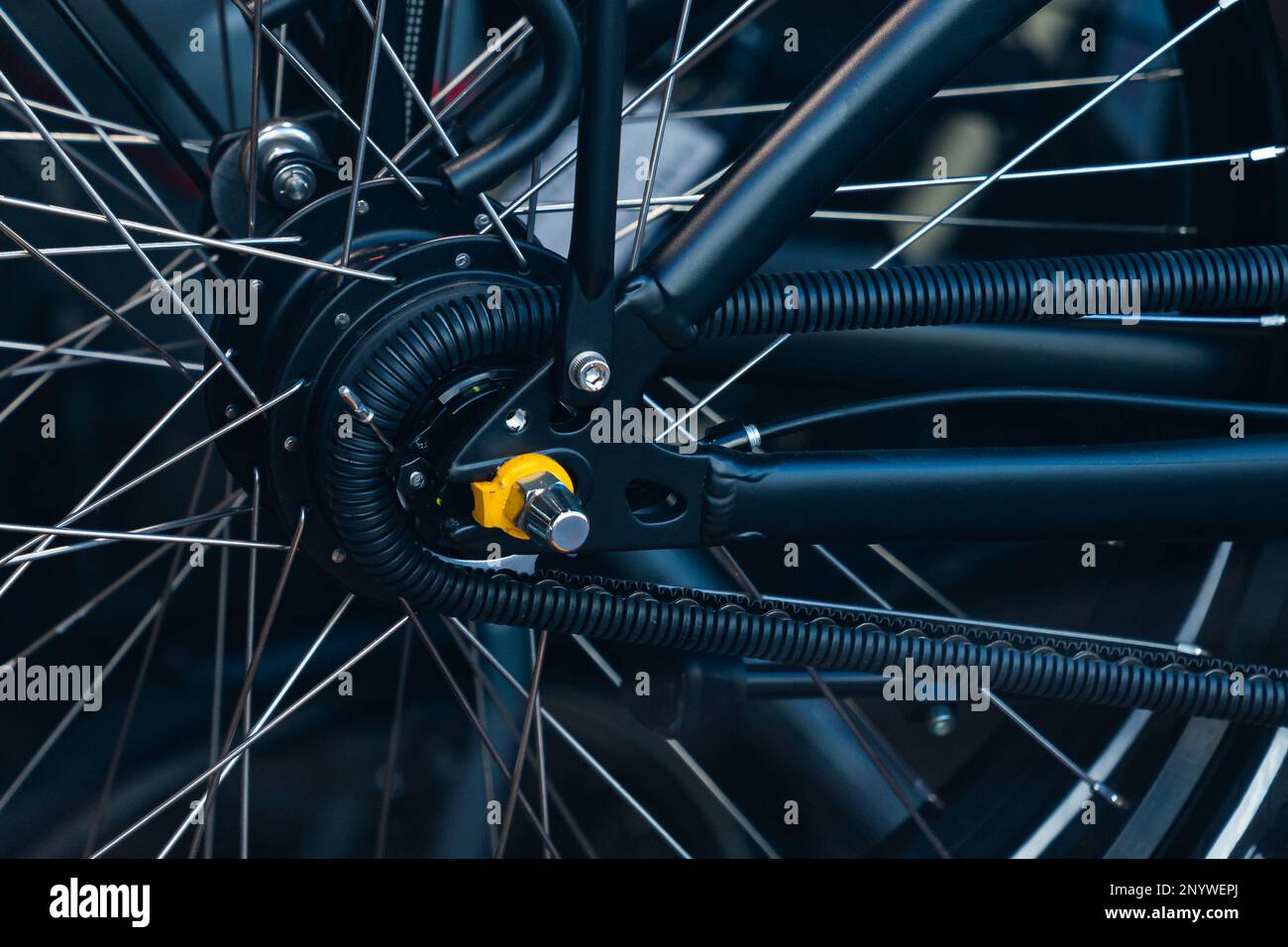 Seitenansicht der Achse des Hinterrads eines Fahrrads. Schließen. Stockfoto