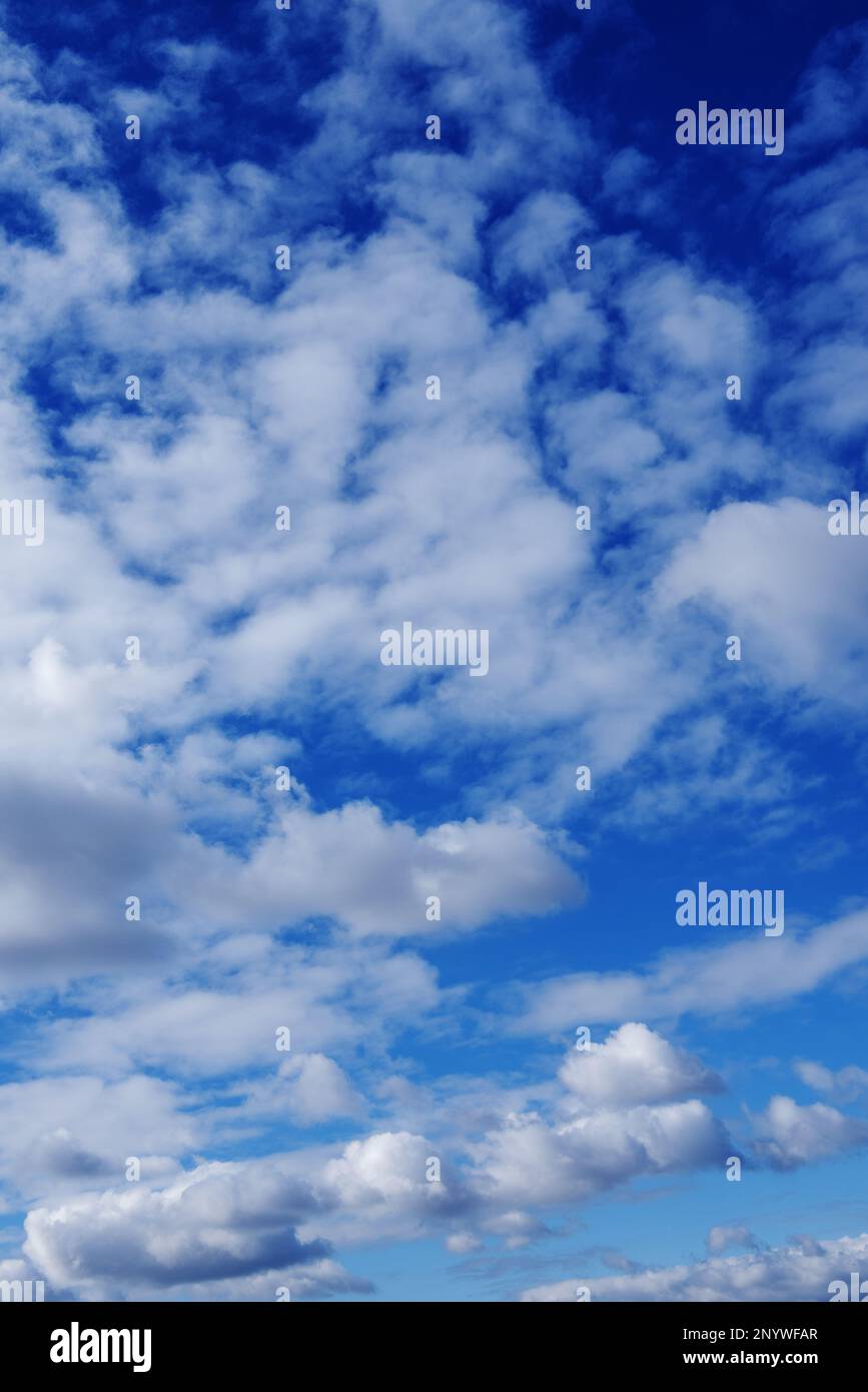 Flauschige Wolken und ein tiefblauer Himmel. Vektorwoll-Texturhintergrund Stockfoto