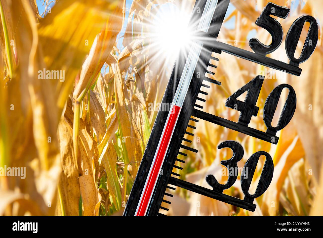 Hohe Temperatur zeigt den Klimawandel auf dem Thermometer an Stockfoto