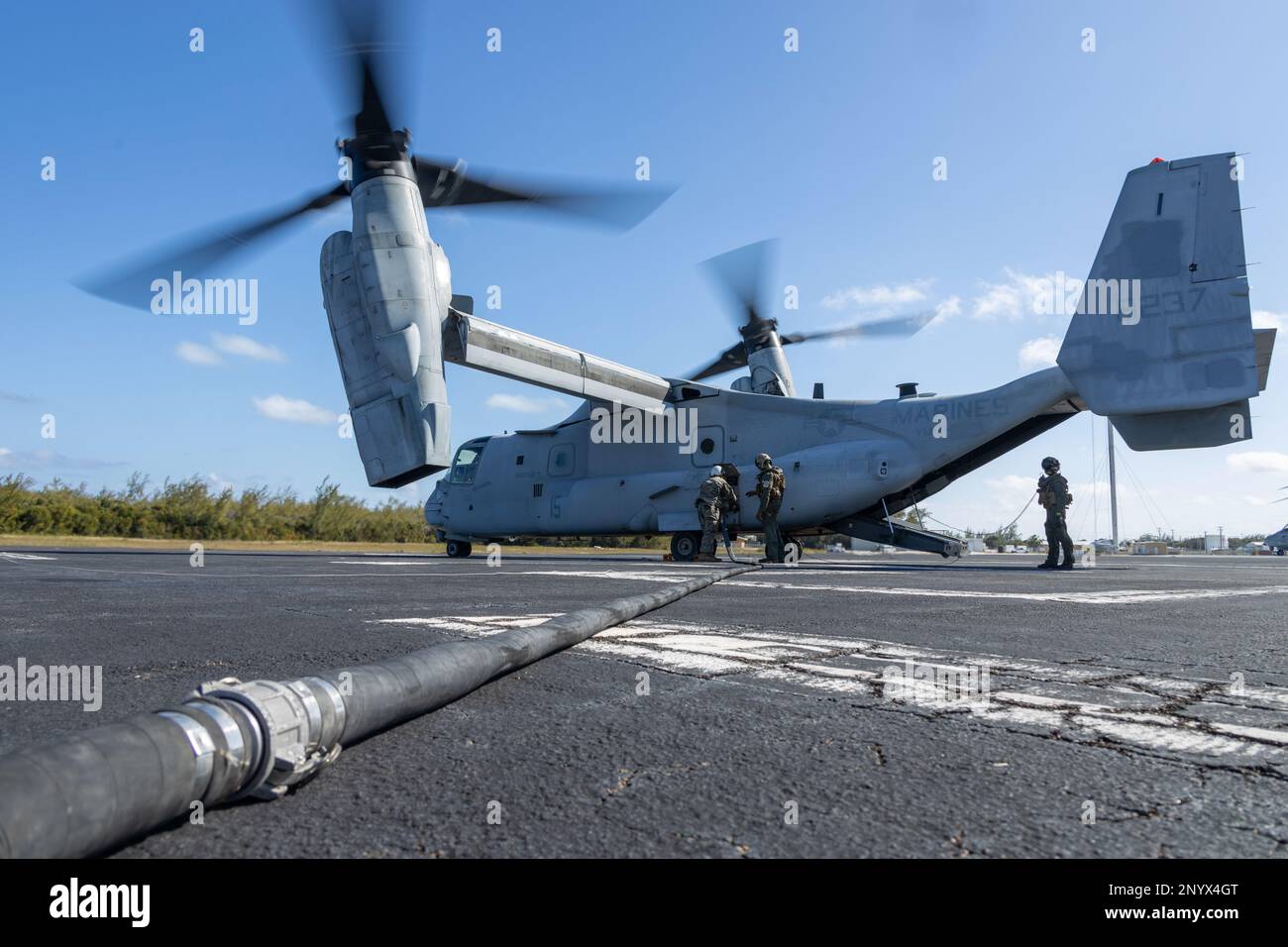 USA Marines mit 3. Marine Aircraft Wing (MAW) überwachen den Treibstofftransfer während einer von der Luftfahrt gelieferten Bodenbetankungsübung im Atlantic Undersea Test and Evaluation Center, North Andros, Bahamas, 28. Januar 2023. Diese Übung zeigt die Fähigkeit des 3. MAW, das Betanken am Boden schnell und effizient durchzuführen, unabhängig vom Standort. Die MV-22B Ospreys verfügen über die Kapazität, die Ausrüstung und Materialien zu transportieren, um vordere Bewaffnungs- und Tankstellen in vorwärts ausgesetzten Umgebungen einzurichten, und unterstützen damit die Fähigkeiten der Marine Air-Ground Task Force für fortgeschrittene Basisoperationen. Stockfoto