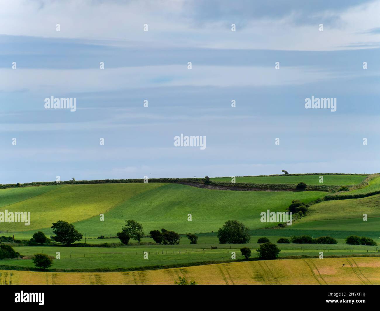 Malerische landwirtschaftliche Landschaft. Grüne Hügel, blauer Himmel. Hügeliges Gelände im Süden Irlands, Natur. Stockfoto