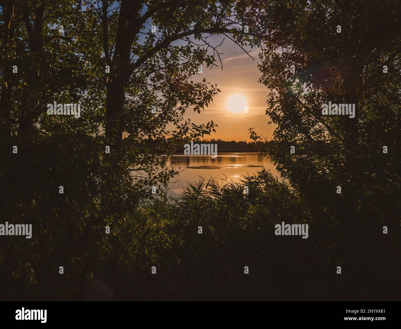 Ein wunderbarer Sonnenuntergang am Ufer des Flusses Hortobágy-Berettyó, Mezőtúr, Ungarn Stockfoto