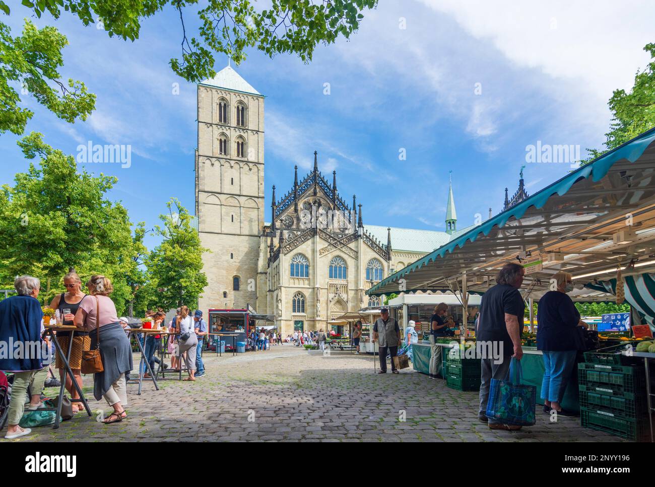 Münster: Münster-Dom oder St.-Paulus-Dom, Wochenmarkt in Münsterland, Nordrhein-Westfalen, Nordrhein-Westfalen, Deutschland Stockfoto